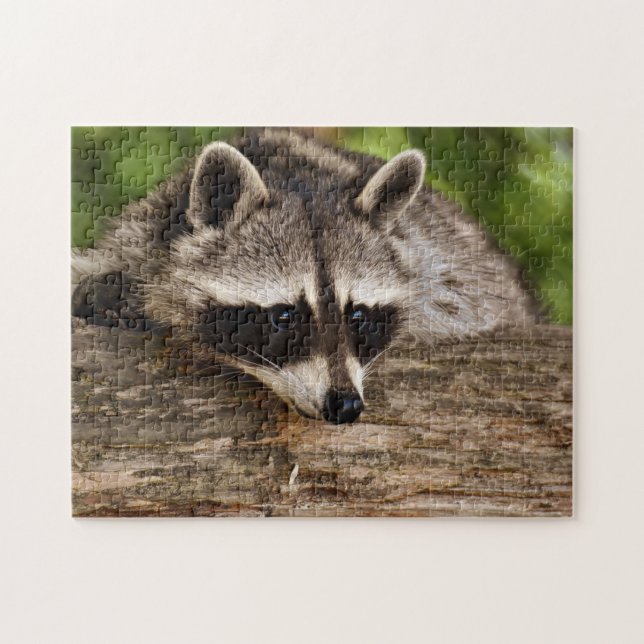 Cute Racoon in Forest Photo Jigsaw Puzzle (Horizontal)