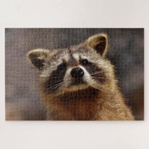 Cute Racoon Jigsaw Puzzle