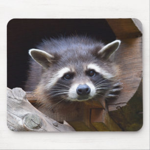 Cute Racoon Mouse Pad