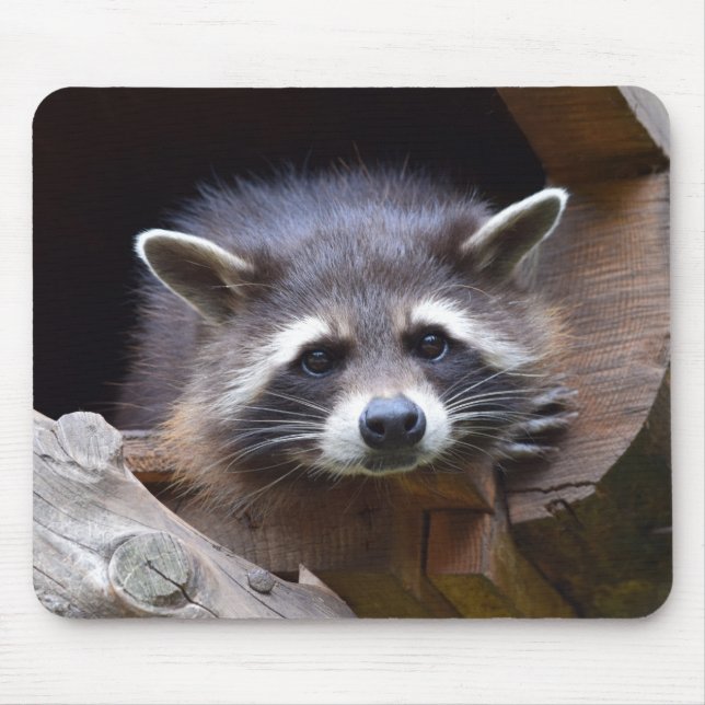 Cute Racoon Mouse Pad (Front)