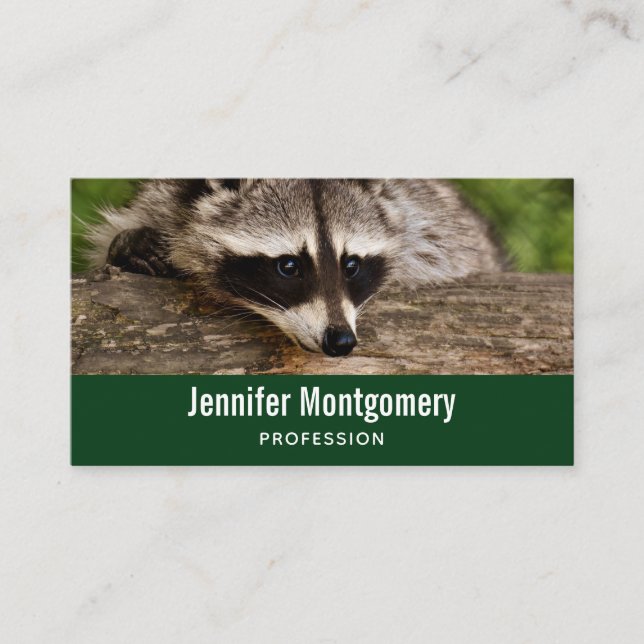 Cute Racoon Resting on a Log Business Card (Front)