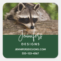 Cute Racoon Resting on a Log Business