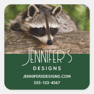 Cute Racoon Resting on a Log Business Square Sticker