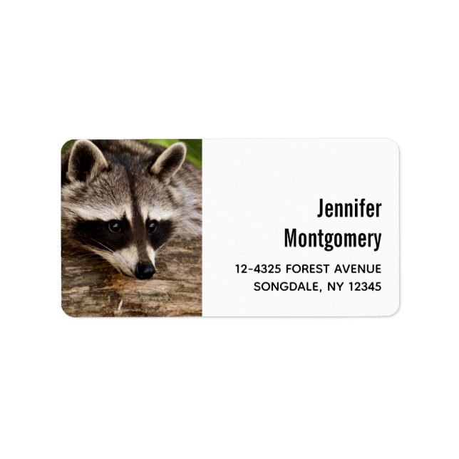 Cute Racoon Resting on a Log Label (Front)