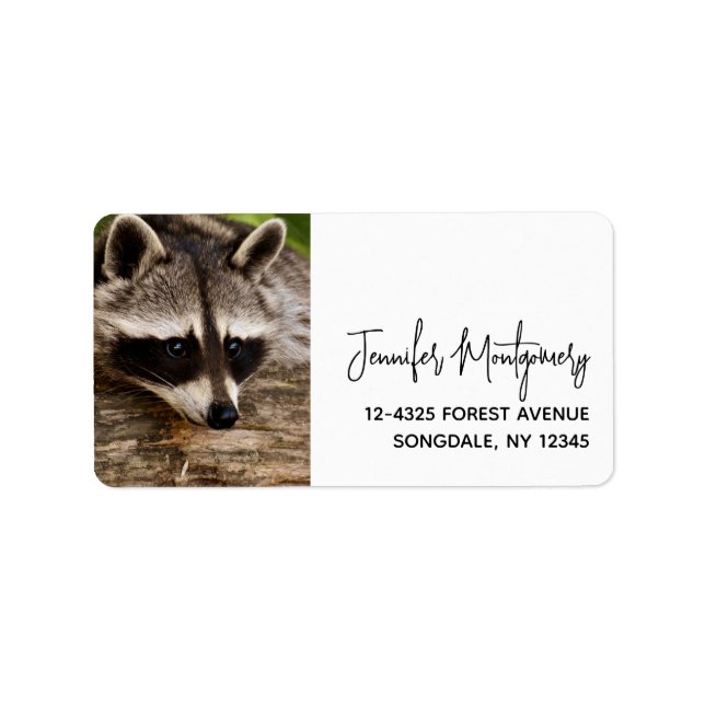 Cute Racoon Resting on a Log  Label (Front)