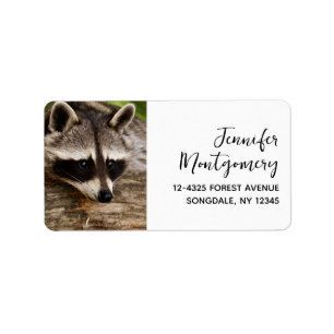Cute Racoon Resting on a Log Label