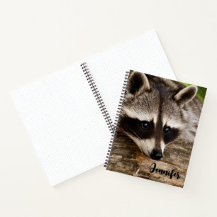 Cute Racoon Resting on a Log Notebook