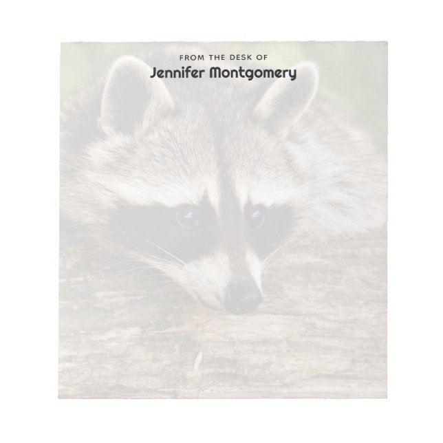 Cute Racoon Resting on a Log Notepad (Front)