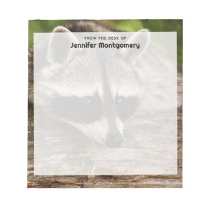 Cute Racoon Resting on a Log Notepad