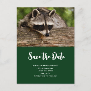 Cute Racoon Resting on a Log Save the Date Invitation Postcard