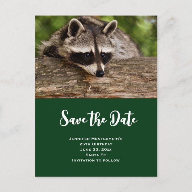 Cute Racoon Resting on a Log Save the Date Invitation Postcard (Front)