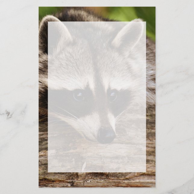 Cute Racoon Resting on a Log Stationery (Front)