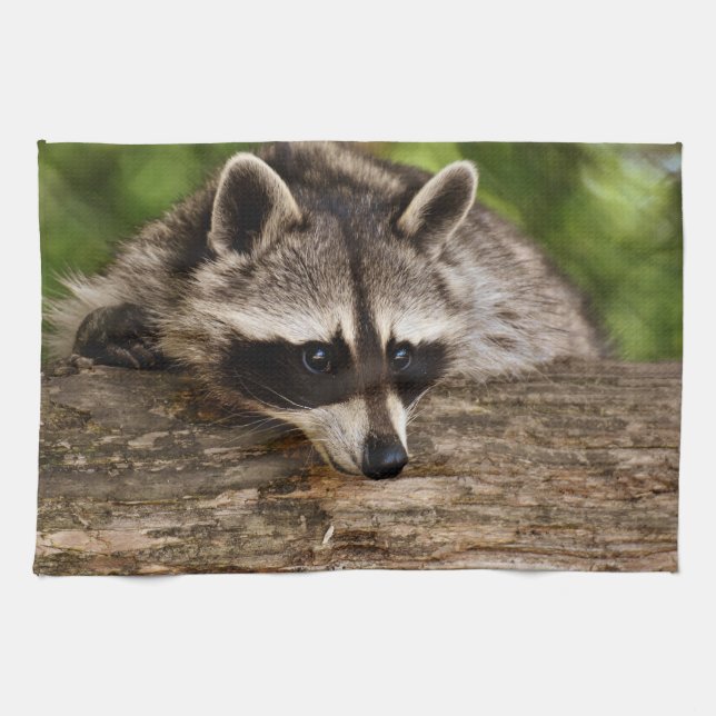 Cute Racoon Resting on a Log Tea Towel (Horizontal)