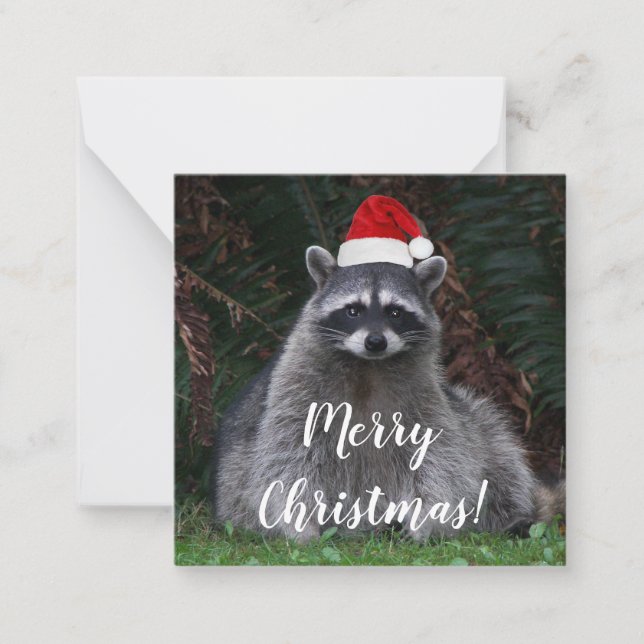 Cute Racoon Wearing Red Santa Hat Card (Front)