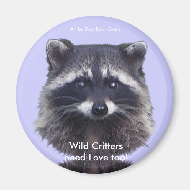 Cute Racoon Wildlife Magnets (Front)