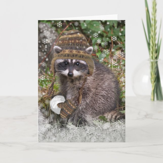Cute Racoon with mittens and a snowball Holiday Card (Front)