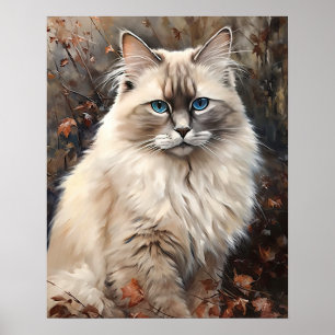 Cute Ragdoll Cat Art Print Poster