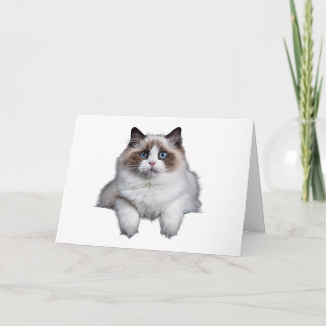 Cute Ragdoll Cat  Card (Front)