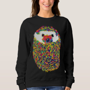 Cute Rainbow Hedgehog Sweatshirt