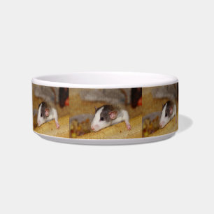 Cute Rat Bowl