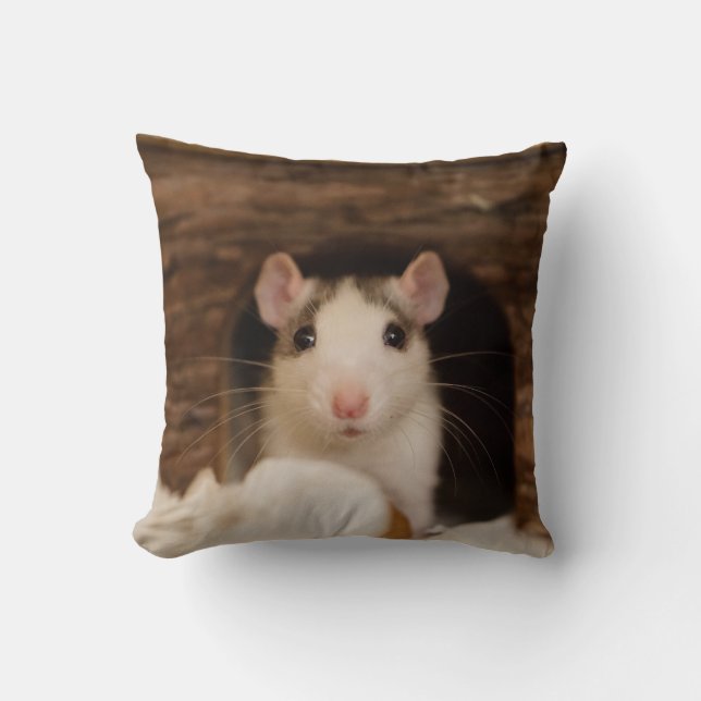 Cute Rat Cushion (Front)