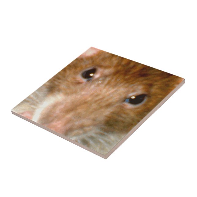 Cute Rat Face Tile (Side)