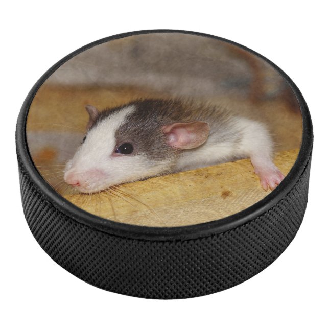 Cute Rat Hockey Puck (3/4)