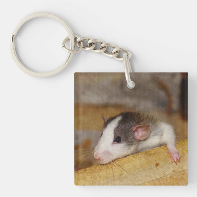 Cute Rat Key Ring (Front)
