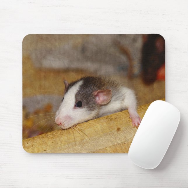 Cute Rat Mouse Pad (With Mouse)