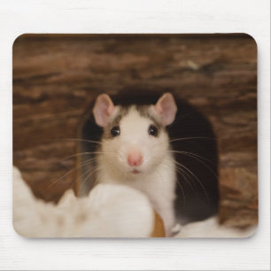 Cute Rat Mouse Pad