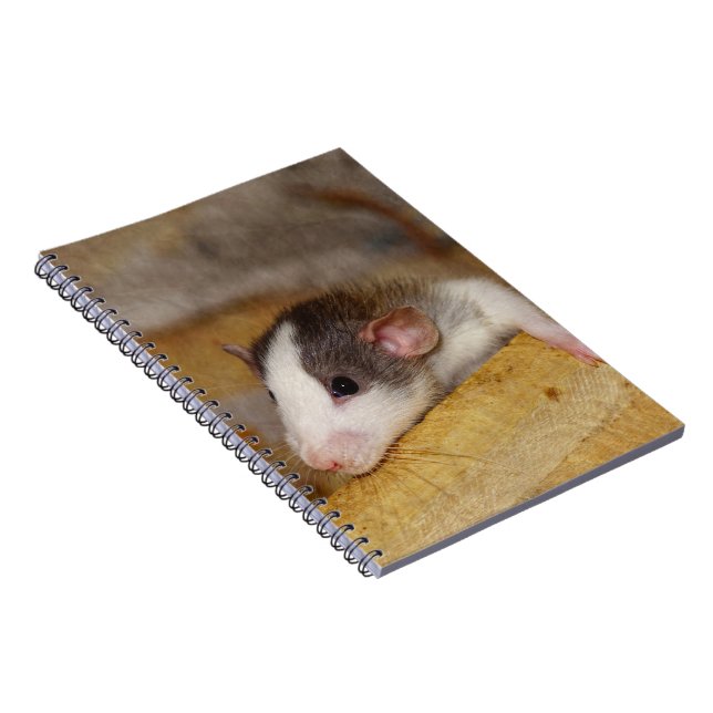 Cute Rat Notebook (Right Side)