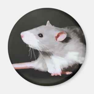 Cute Rat painting Magnet