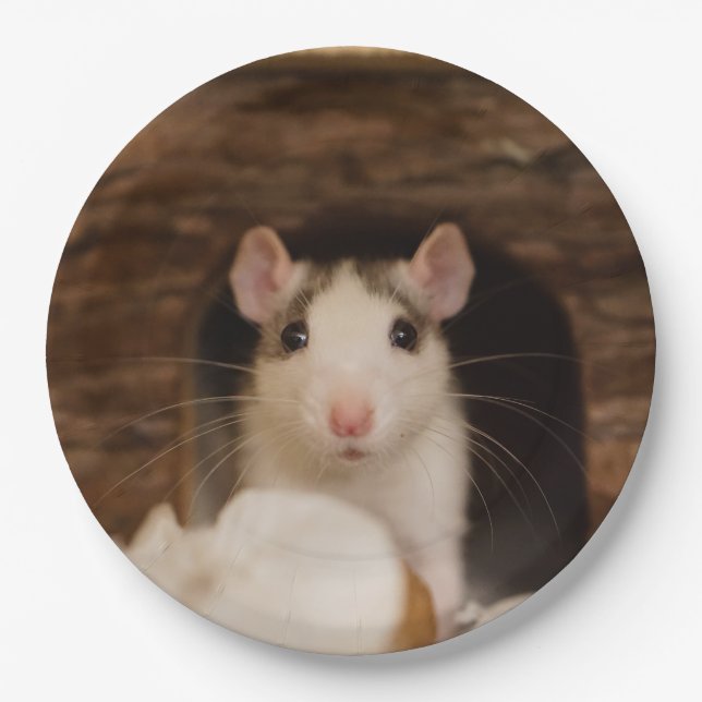 Cute Rat Paper Plate (Front)