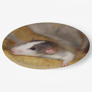Cute Rat Paper Plate