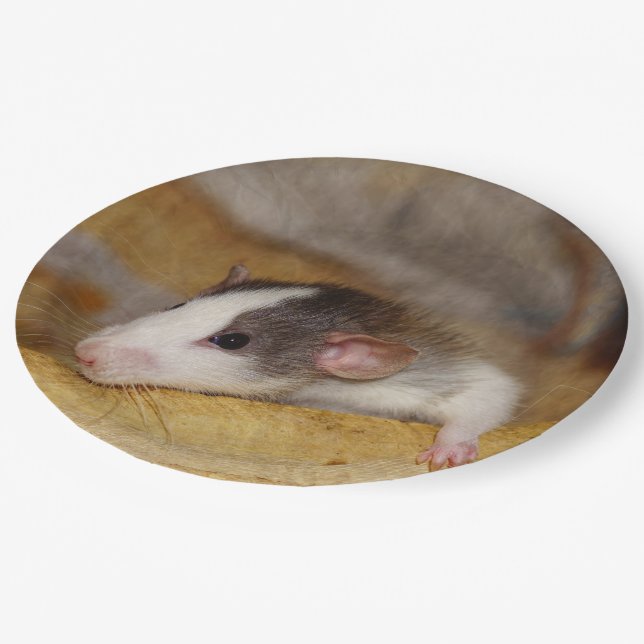 Cute Rat Paper Plate (Angled)