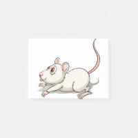 Cute rat