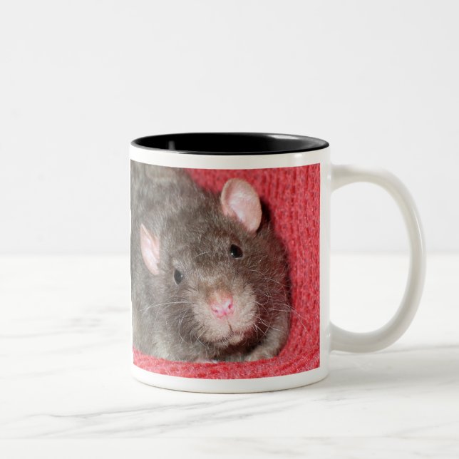 Cute Rat Two-Tone Coffee Mug (Right)