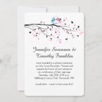 Cute Reception Only Lovebirds Blossoms Butterflies