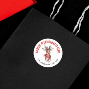 Cute Red And White Christmas Rudolph Reindeer Classic Round Sticker