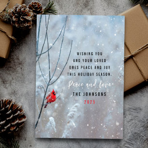 Cute red cardinal and snow Christmas  Holiday Card