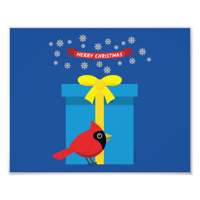 Cute Red Cardinal With Blue Gift Photo Print (Front)