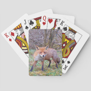 Cute Red Fox  Playing Cards