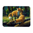 Cute Red Fox Pups Playing
