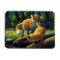 Cute Red Fox Pups Playing