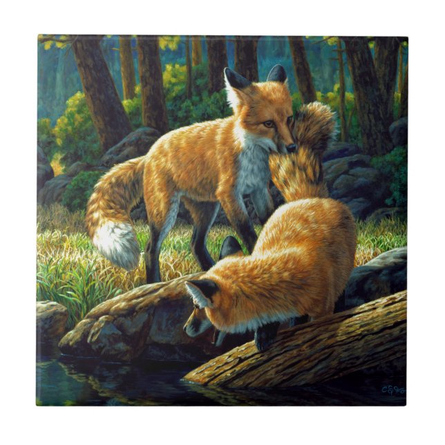 Cute Red Fox Pups Playing Tile (Front)