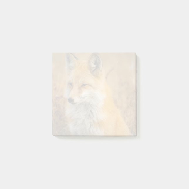 Cute Red Fox Wilderness Nature Photography Faded Post-it Notes (Front)