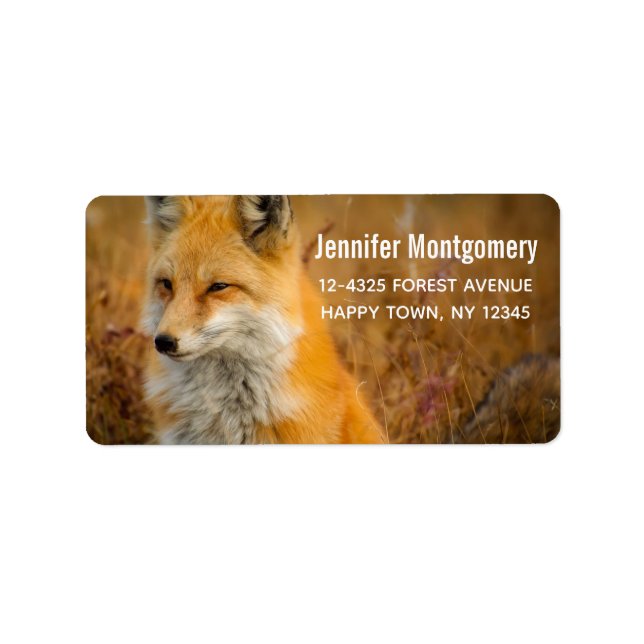 Cute Red Fox Wilderness Nature Photography Label (Front)
