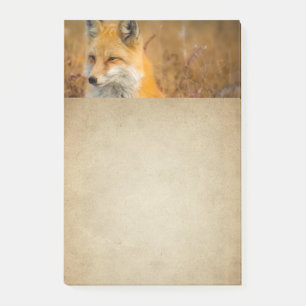 Cute Red Fox Wilderness Nature Photography Post-it Notes