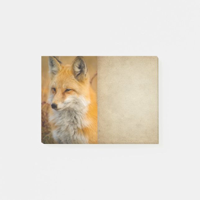 Cute Red Fox Wilderness Nature Photography Post-it Notes (Front)