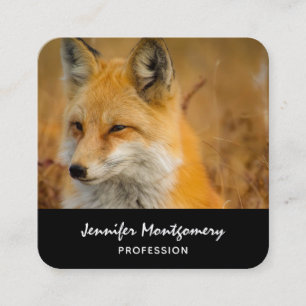 Cute Red Fox Wilderness Nature Photography Square  Business Card